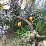 De L'alouette *