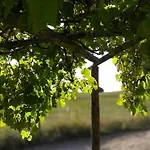 Nyaraló De L'alouette *